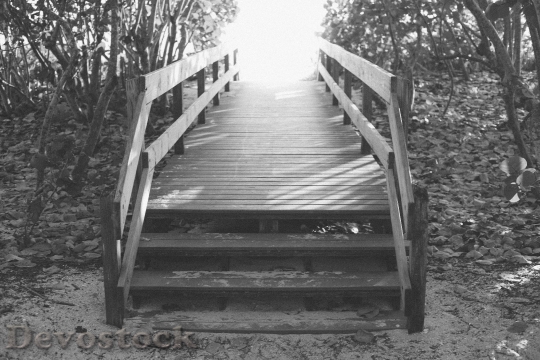 Devostock Wood Landscape Bridge 8852 4K