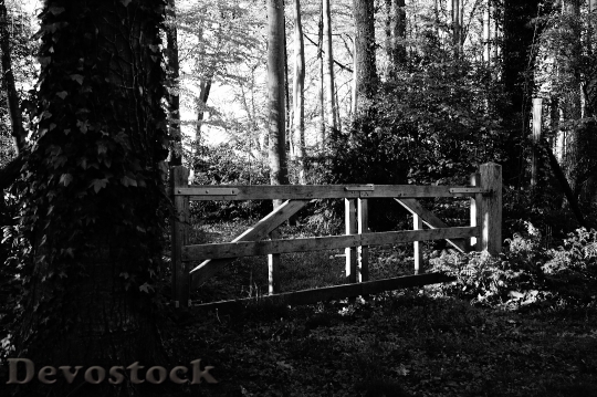 Devostock Wood Light Black And White 17136 4K