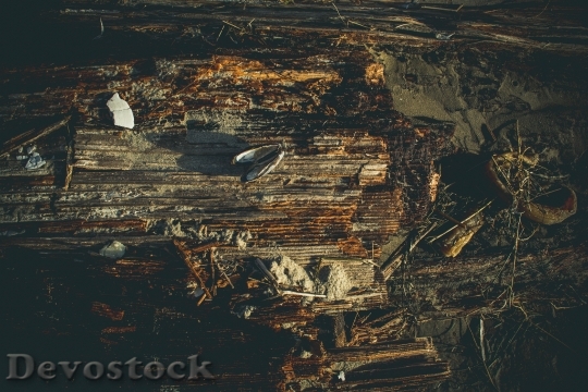 Devostock Wood Light Dirty 21417 4K