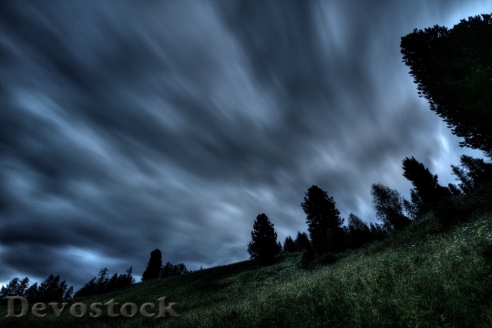 Devostock Wood Light Landscape 102948 4K