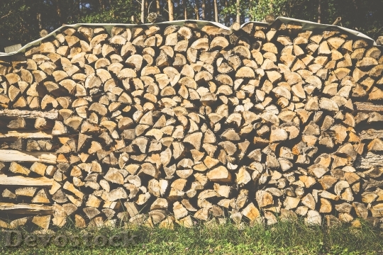 Devostock Wood Logs Wooden Logs 10470 4K