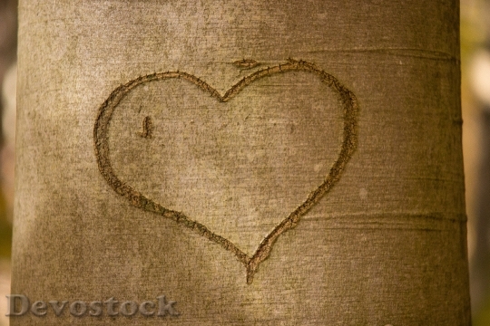 Devostock Wood Love Art 23639 4K
