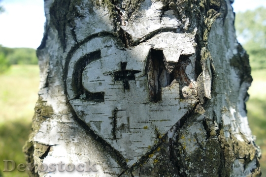Devostock Wood Love Heart 20854 4K