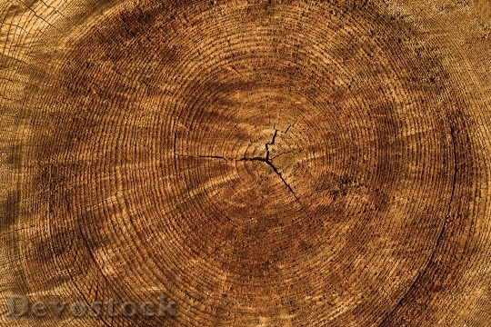 Devostock Wood Pattern Texture 35502 4K