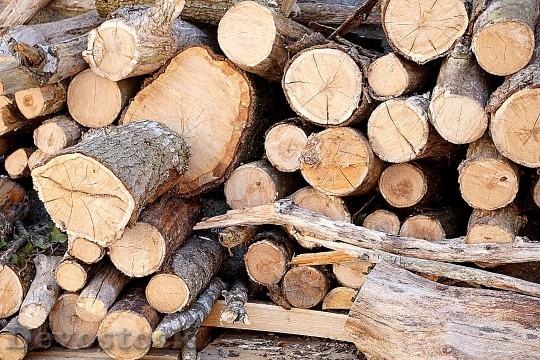 Devostock Wood Stack Timber 17060 4K
