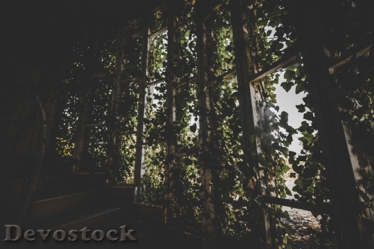 Devostock Wood Stairs Landscape 76128 4K