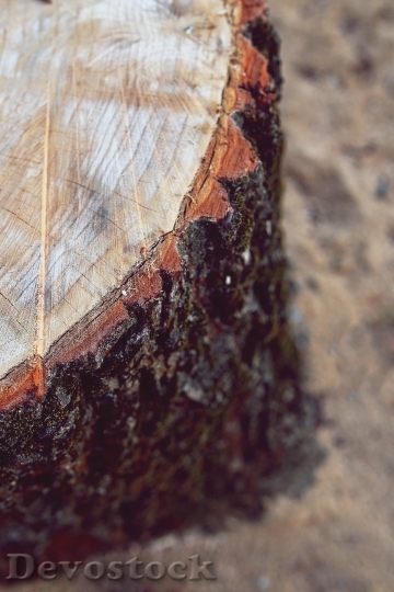 Devostock Wood Texture Abstract 549 4K