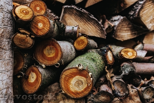 Devostock Wood Texture Firewood 105619 4K
