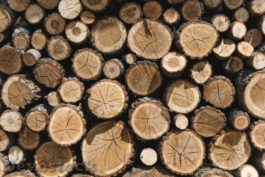 Devostock Wood Texture Firewood 93566 4K