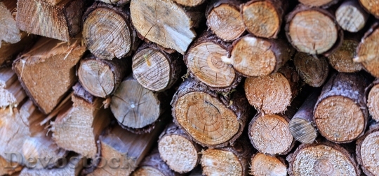 Devostock Wood Tree Logs 9759 4K