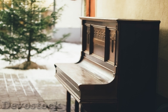 Devostock Wood Tree Piano 81462 4K