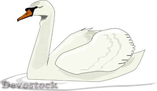 Devostock Animal Swan Swimming