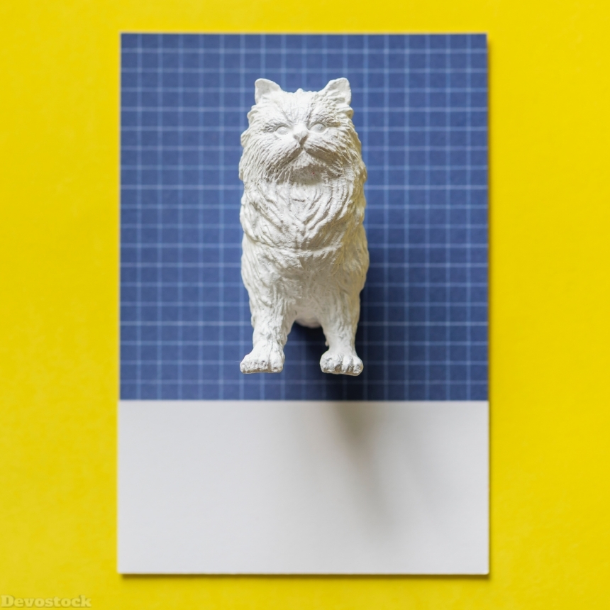 Devostock Animal Art Blue Cat Shape 4k