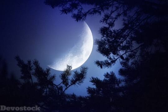 Devostock Big Moon Dark Night Pi 4K