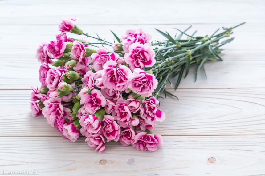 Devostock Bouquets Carnations Pink Color 4K
