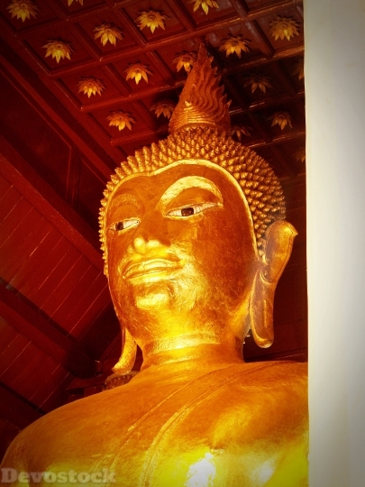 Devostock Buddha Buddah Thailand Tibet 2 4K