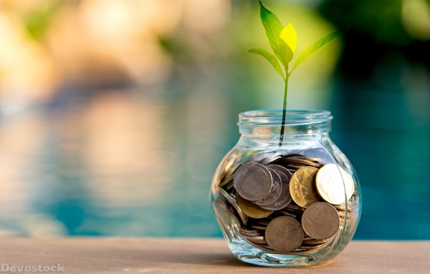 Devostock Coins Plants Jar Save Money Nature 4k