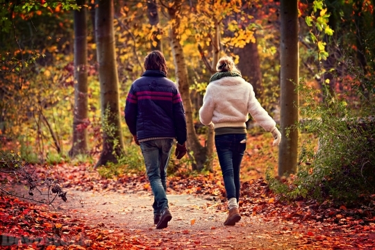 Devostock Couples Walking Nature Autumn 4k