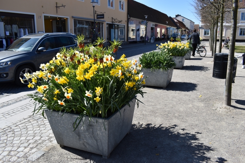 Devostock Exclusive Sweden Nature Skane Simrishamn Spring Car Old Street Colorful Flowers 4k