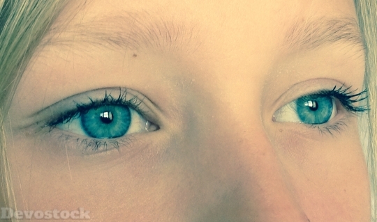 Devostock Eyes Blue Blue Eyes 4K