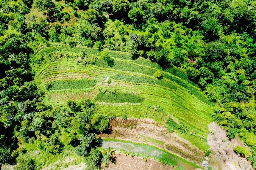 Devostock Outdoor Nature Aerial Shot Agriculture Bird S Eye View 4k