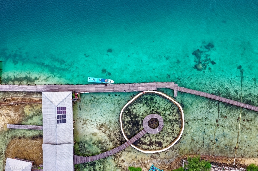 Devostock Outdoor Nature Aerial Shot Bird S Eye View Drone Shot Beach Sea 4k