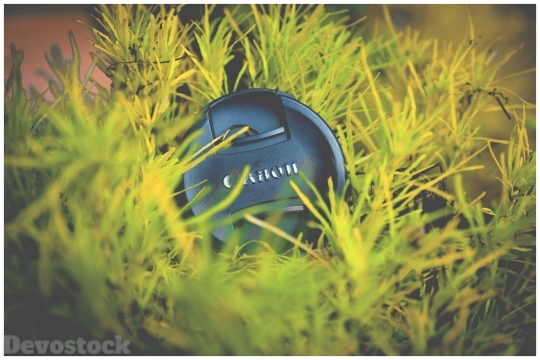 Devostock Photography Lights Canon Lens Grass 4k