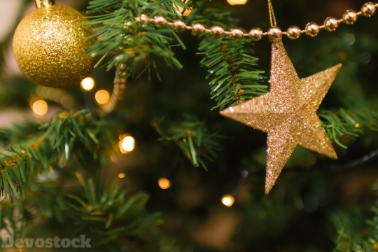 Devostock Star Tree Christmas 4k
