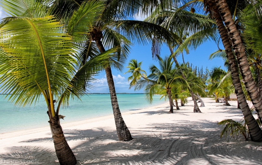 Devostock Tropics Coast Bahamas Palms Sand Beach 4k