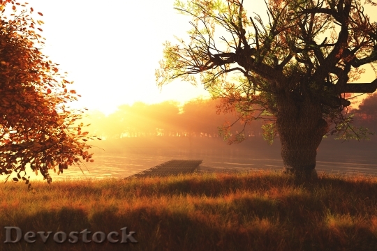 Devostock Autumn Sunset / Sunrise at Lake 3D render