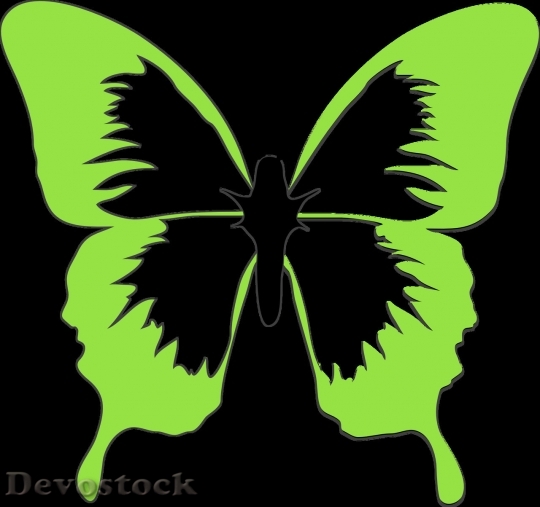 Devostock Butterfly colorful  (10)