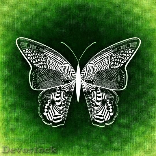 Devostock Butterfly colorful  (134)