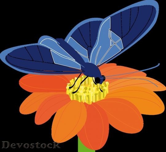 Devostock Butterfly colorful  (14)