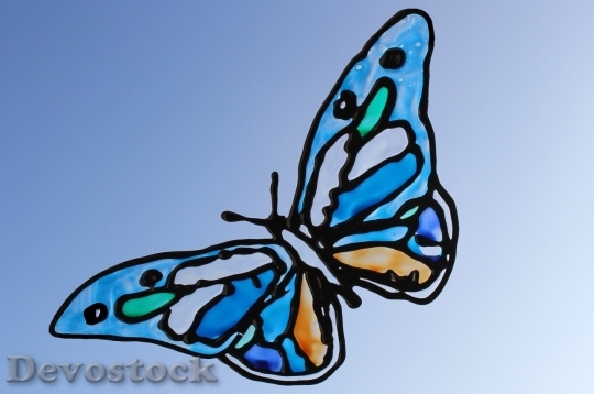 Devostock Butterfly colorful  (192)