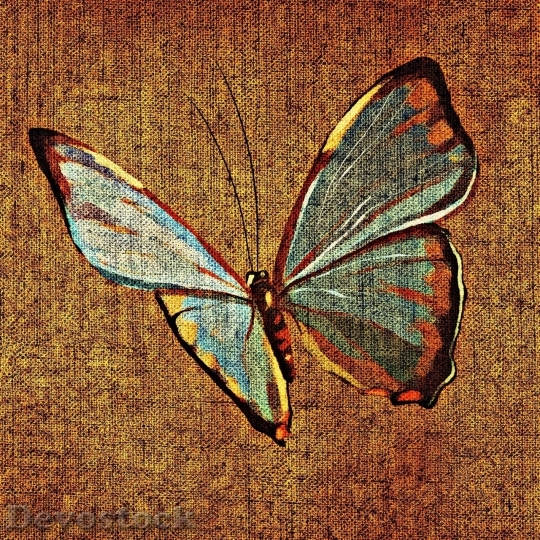 Devostock Butterfly colorful  (20)