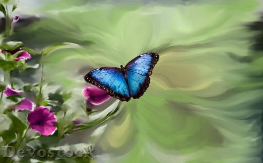 Devostock Butterfly colorful  (203)
