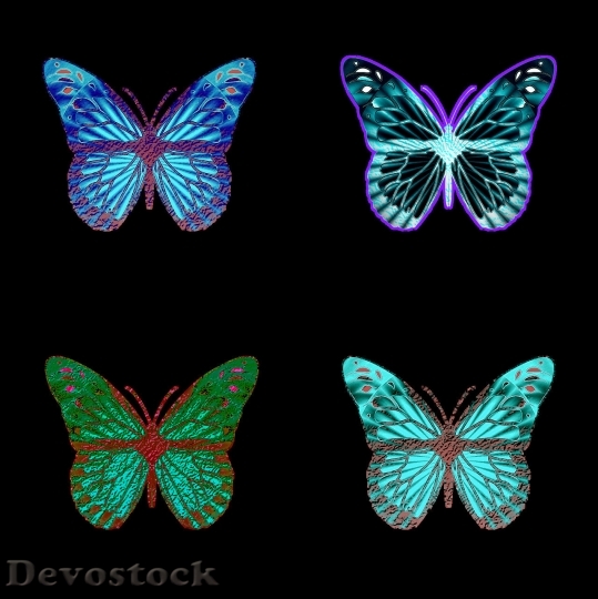 Devostock Butterfly colorful  (209)
