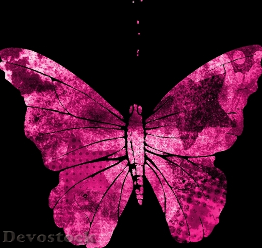 Devostock Butterfly colorful  (250)