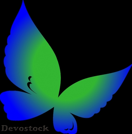 Devostock Butterfly colorful  (265)