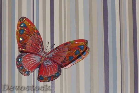 Devostock Butterfly colorful  (266)