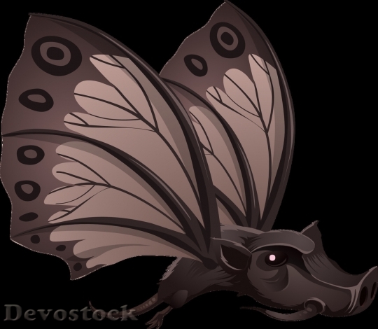 Devostock Butterfly colorful  (287)
