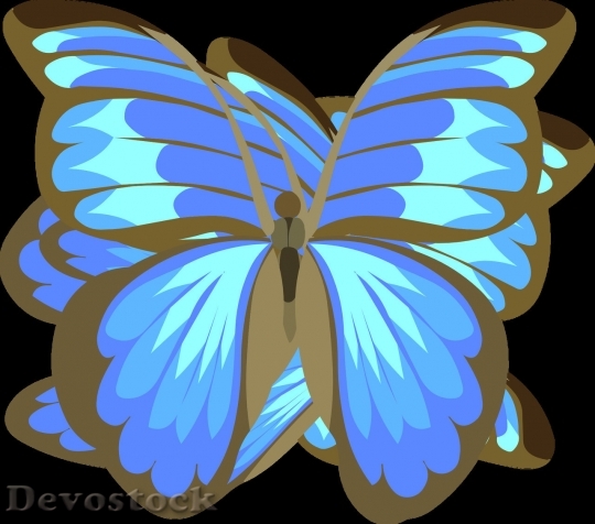 Devostock Butterfly colorful  (317)