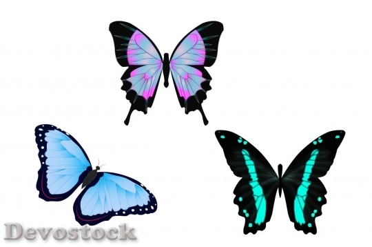 Devostock Butterfly colorful  (389)