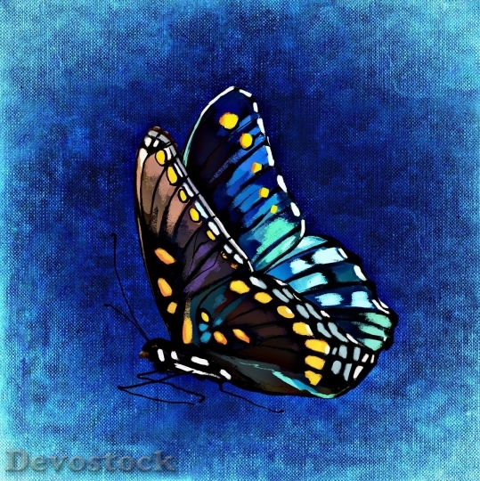 Devostock Butterfly colorful  (445)