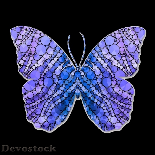 Devostock Butterfly colorful  (497)