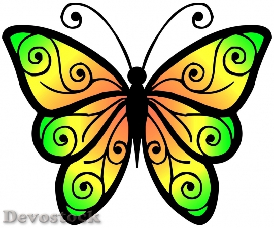 Devostock Butterfly colorful  (80)