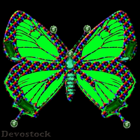 Devostock Butterfly colorful  (83)