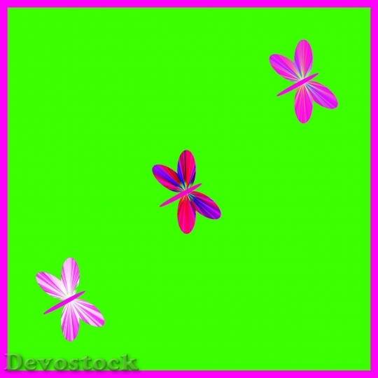 Devostock Butterfly colorful  (93)