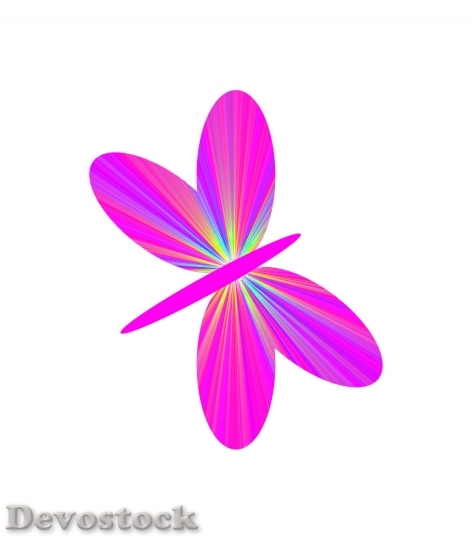 Devostock Butterfly colorful  (95)