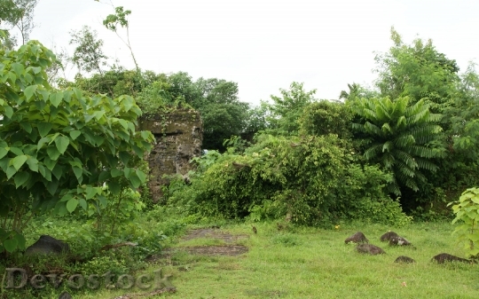 Devostock Cagsawa ruins / Philippines 